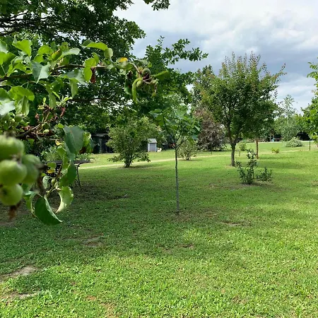 דירה The ראבנה