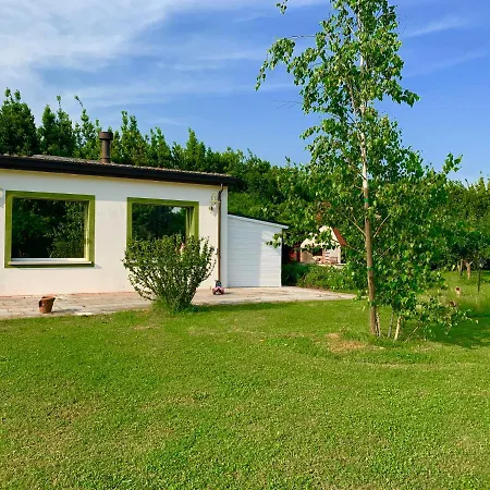 Apartament The *