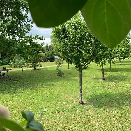 The דירה ראבנה