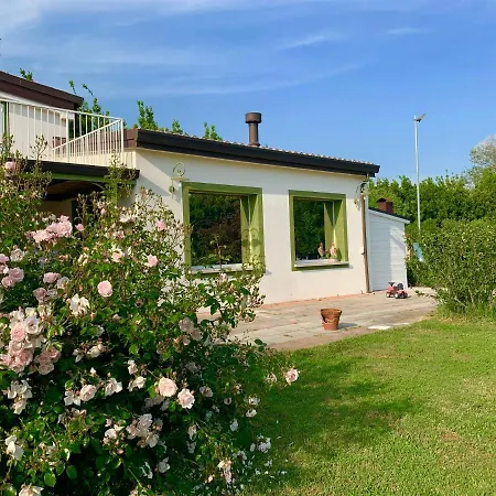 Apartament The