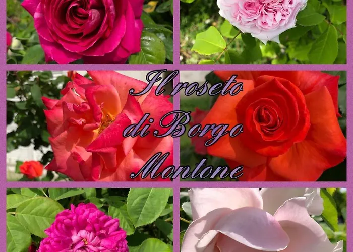 דירה The
