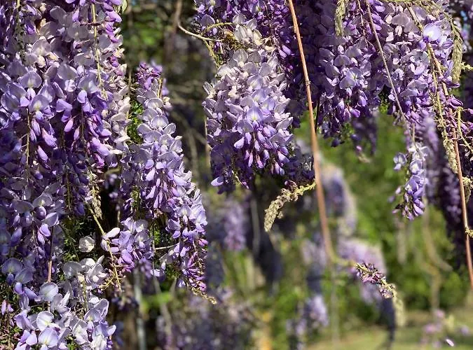 The Apartmán Ravenna