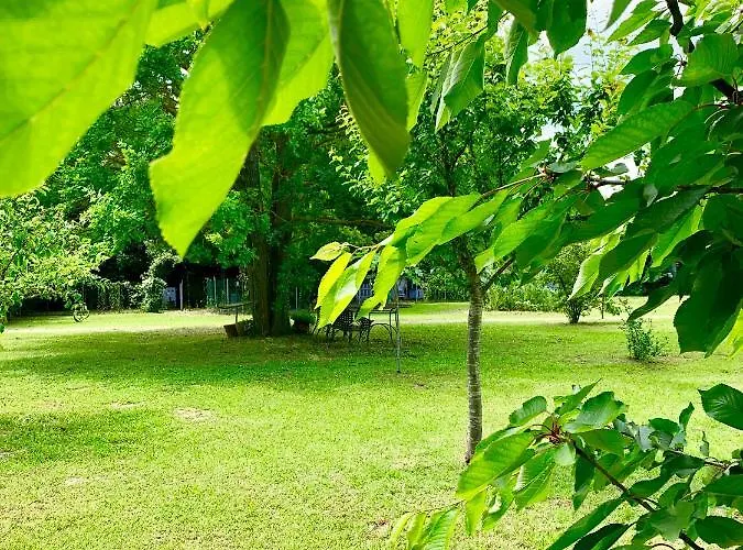 Διαμέρισμα The